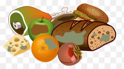 Wasting Food Clipart - Waste Png