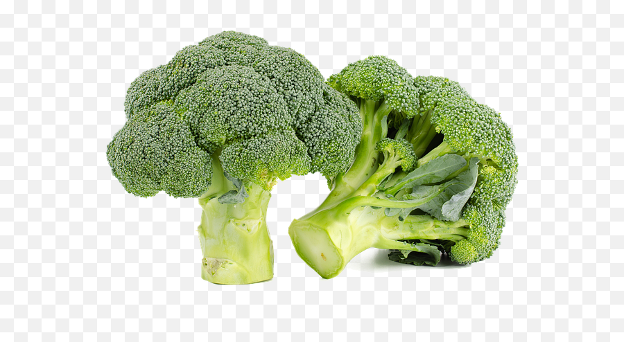 Broccoli Green Food - Png,Brocoli Png