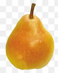 Pears Png Image