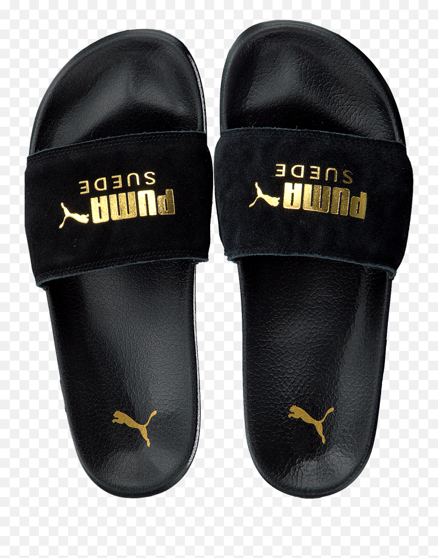 Black Puma Flip Flops Leadcat Suede Men Png Shoe Logo