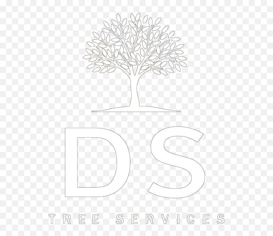 Tree Surgeons Ds Services - Parque Florestal Mogno Africano Png,Ds Logo