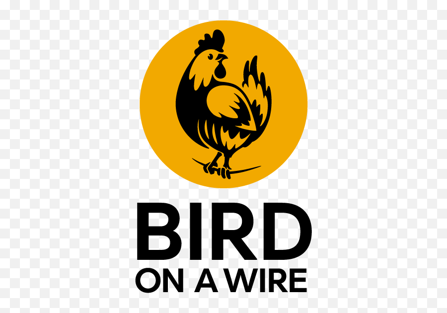 Bird Transparent PNG