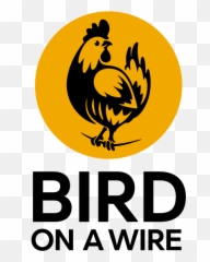 Bird Transparent PNG
