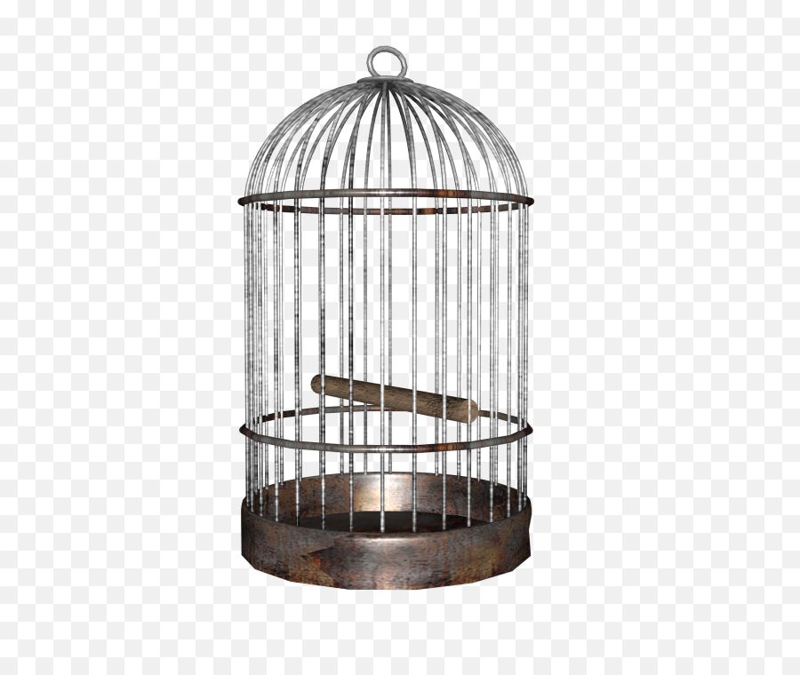 Download Free Png Cage - Backgroundbirdtransparent Dlpngcom Birdcage Png,Bird Transparent