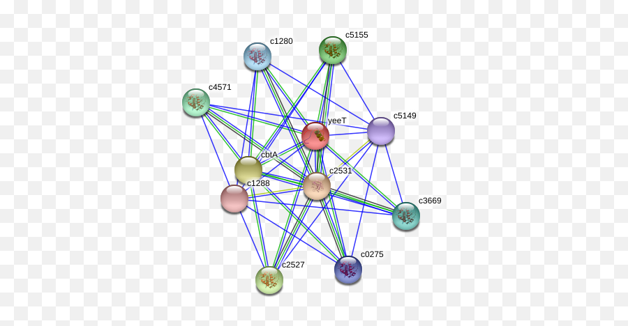 Yeet Protein Escherichia Coli Cft073 - String Interaction Circle Png,Yeet Png