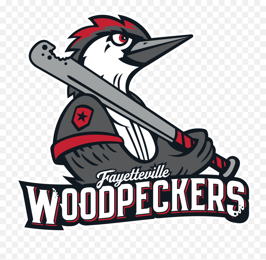 Houston Astros - Fayetteville Woodpeckers Png,Houston Astros Logo Images