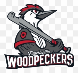 Houston Astros Twitter Yesterday The Added - Fayetteville Woodpeckers png