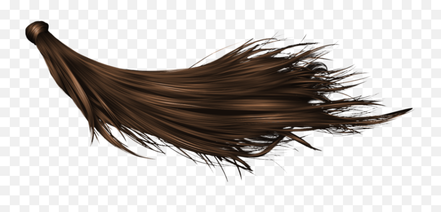 Long Hair Png Transparent - Hair On Transparent Background,Ponytail Png