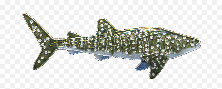 Whale Shark Pin Bamboo Jewelry Png