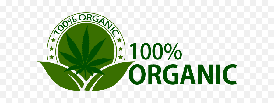 100 Organic And Natural Logo Png - Fresh,Organic Png