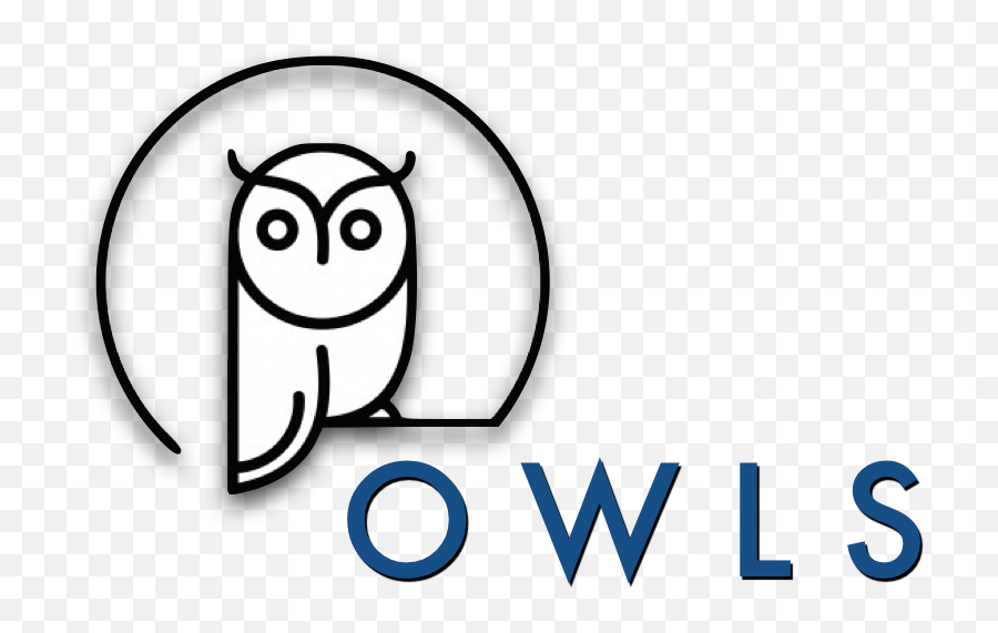 Download Owl Minimalist - Minimalist Owl Logo Vector Png,Minimalist Png