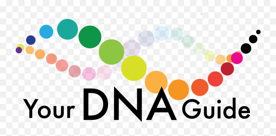 Best Dna Ethnicity Report And The - Symetra Financial Corporation Png,Dna Transparent