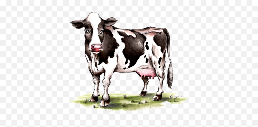 Blog - Cow Png,Cow Icon