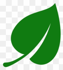 Leaf Icons Download For Free In Png And Svg Canadian - Green Transparent Background