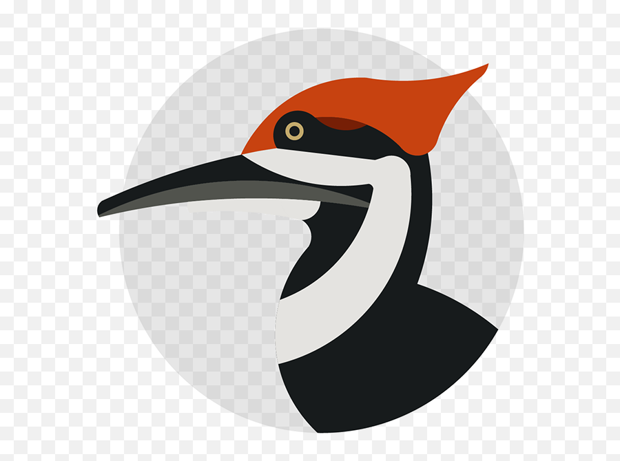 Animal Icon Set - Woodpecker Png,Woodpecker Icon