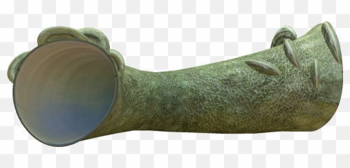 Coral Tubes - Subnautica Coral Tube Sample Png,Tubes Png