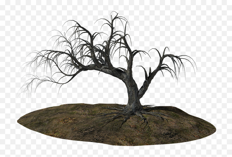 Old Tree Download Png Image Arts - Portable Network Graphics,Bonsai Tree Png