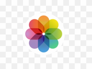 Ios 7 Contacts App Icon - Gallery Png Full Size Logo Iphone