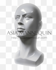 Download Home Mannequins Head U0026 Bust - Bust Png,Mannequin Png