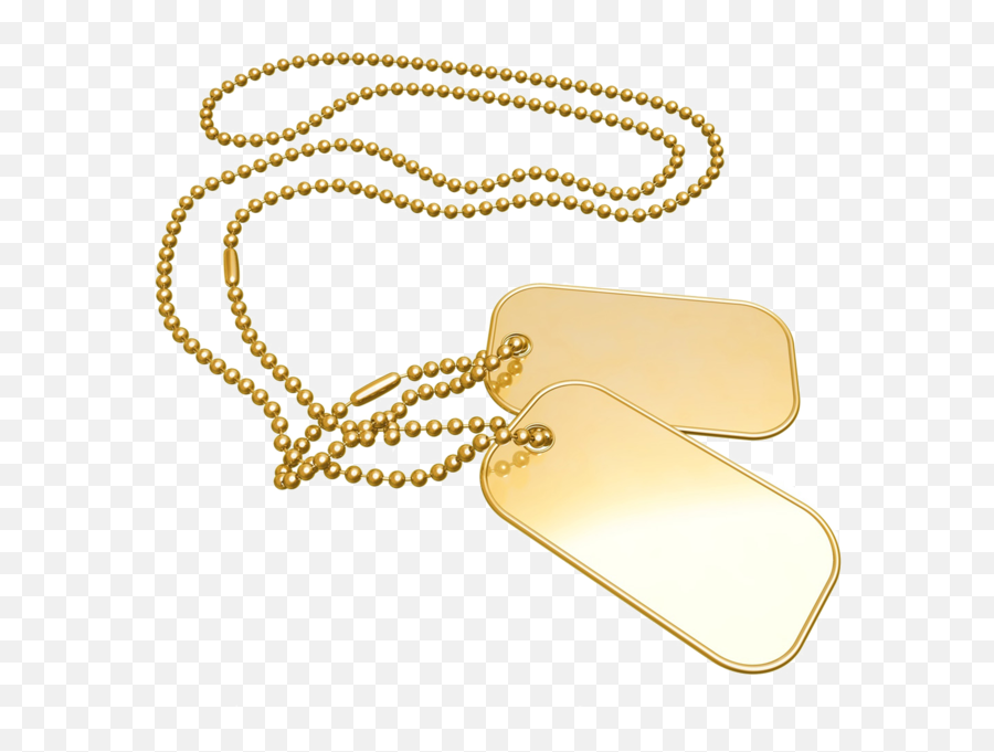 Gold Dog Tags - My Name Pix Friends Png,Dog Tags Png