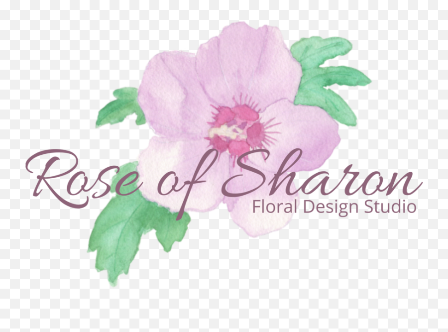 Rose Of Sharon Floral Design Studio - Rosa Rugosa Png,Floral Design Png