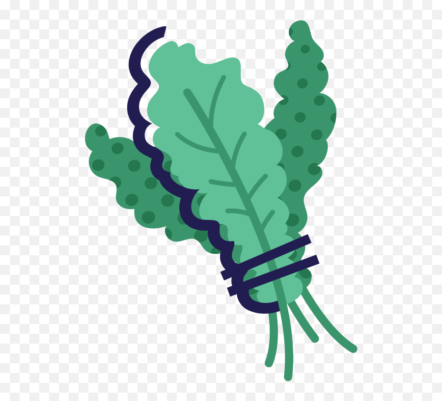 Kale Vector Vegetable Leaf - Chard Transparent Cartoon Cartoon Kale Transparent Png,Kale Png