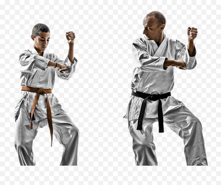 Martial Arts Classes - Karate Training Png,Martial Arts Png