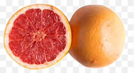 Blood Orange Png Picture 446494 - Grapefruit,Grapefruit Png