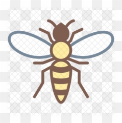 Hornet Icon Of Colored Outline Style - Avispa Dibujo Png,Hornet Png
