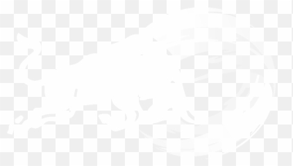 Redbull Logo Alessandrosimon - Bull White png