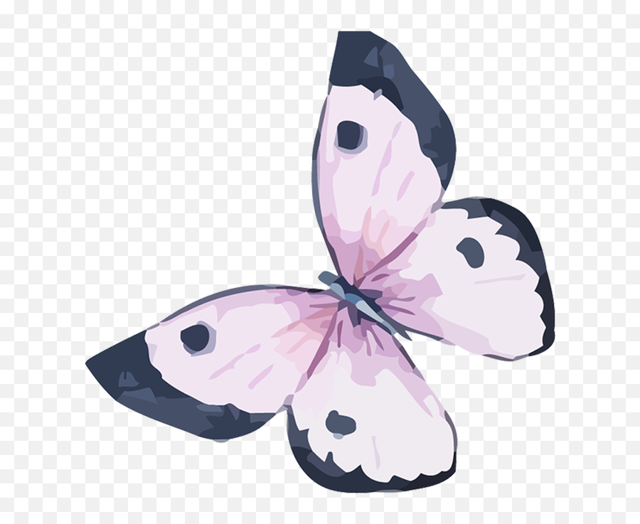 Home Mommyshare - Watercolor Painting Png,Watercolor Butterfly Png
