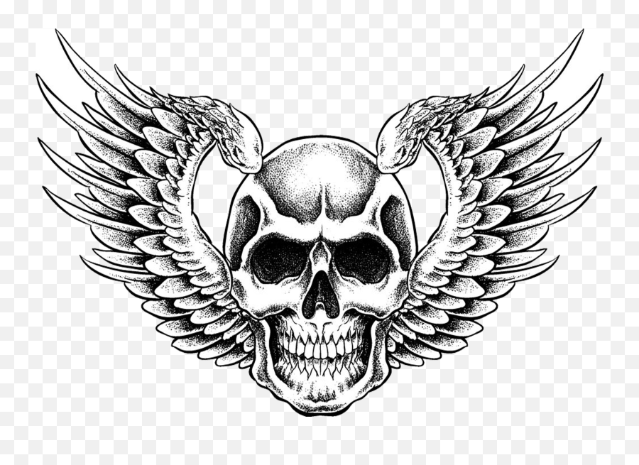 Skull With Bandana Drawing - Skull With Wings Drawing Png,Bandana Transparent