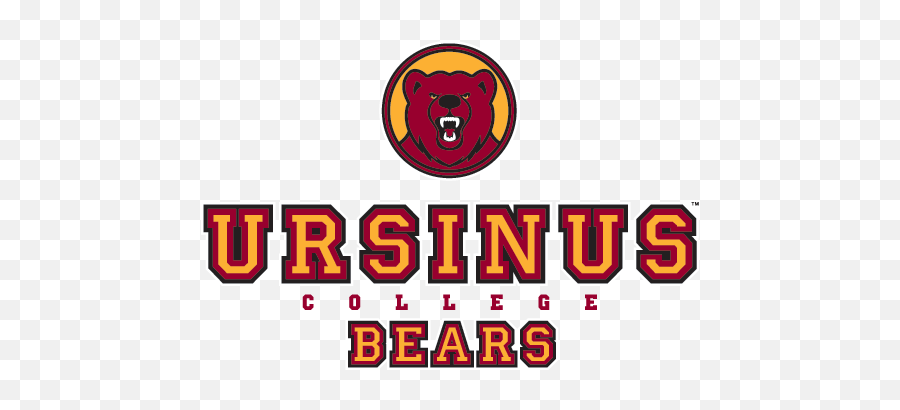 Athletics Logo Files College Communications Ursinus - Transparent Ursinus College Logo Png,Bears Logo Png