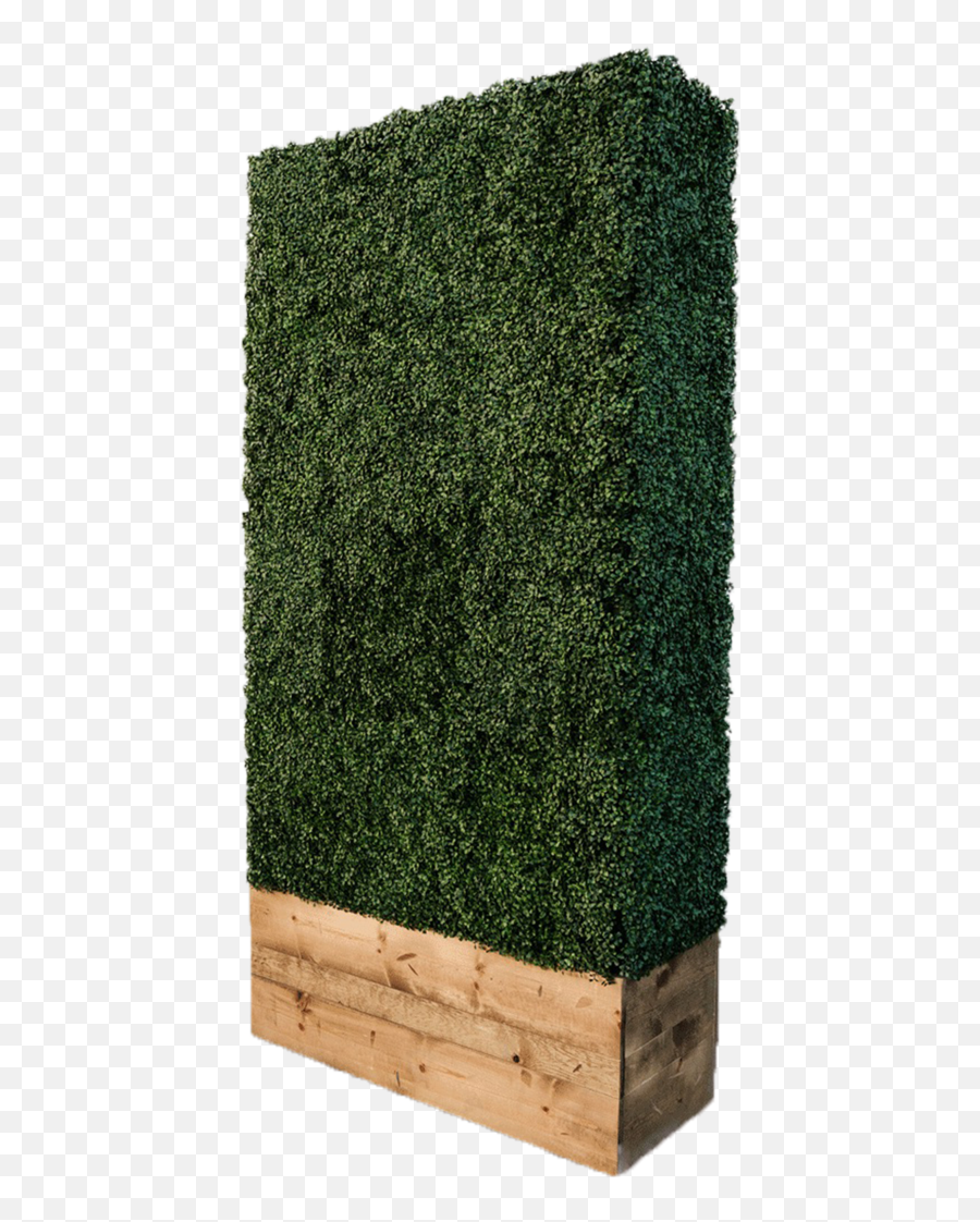 More Rentals - Hedge Png,Hedge Png