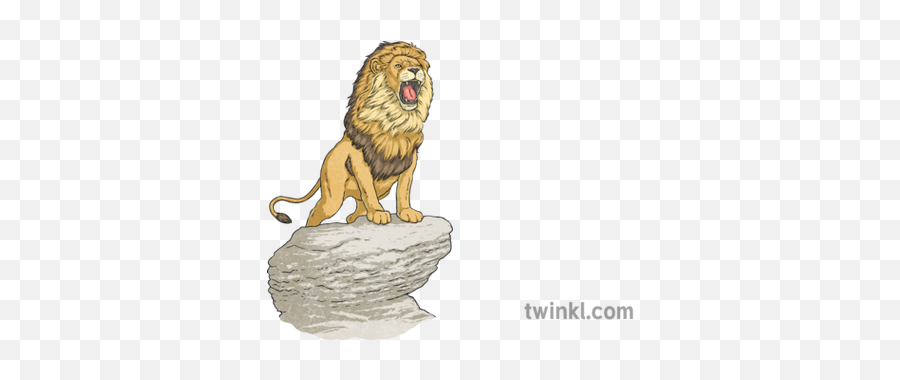 Powerful Lion Standing - Lion Standing On Rock Png,Lion Roar Png
