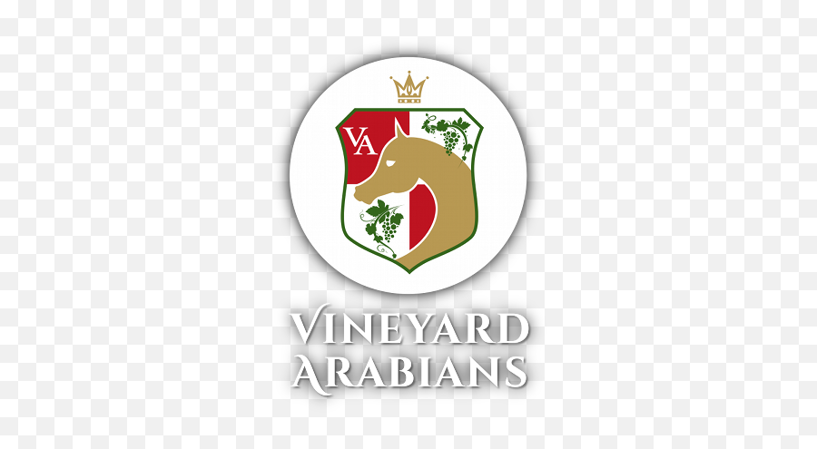 Haika Borsalino K X Tm Havanna - Vineyard Arabians Stallion Png,Pedigree Logo