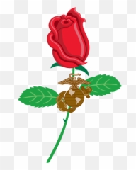 Usmc Wife Rose - Rose Clipart Full Size Clipart 173693 Illustration Png,Wife Png