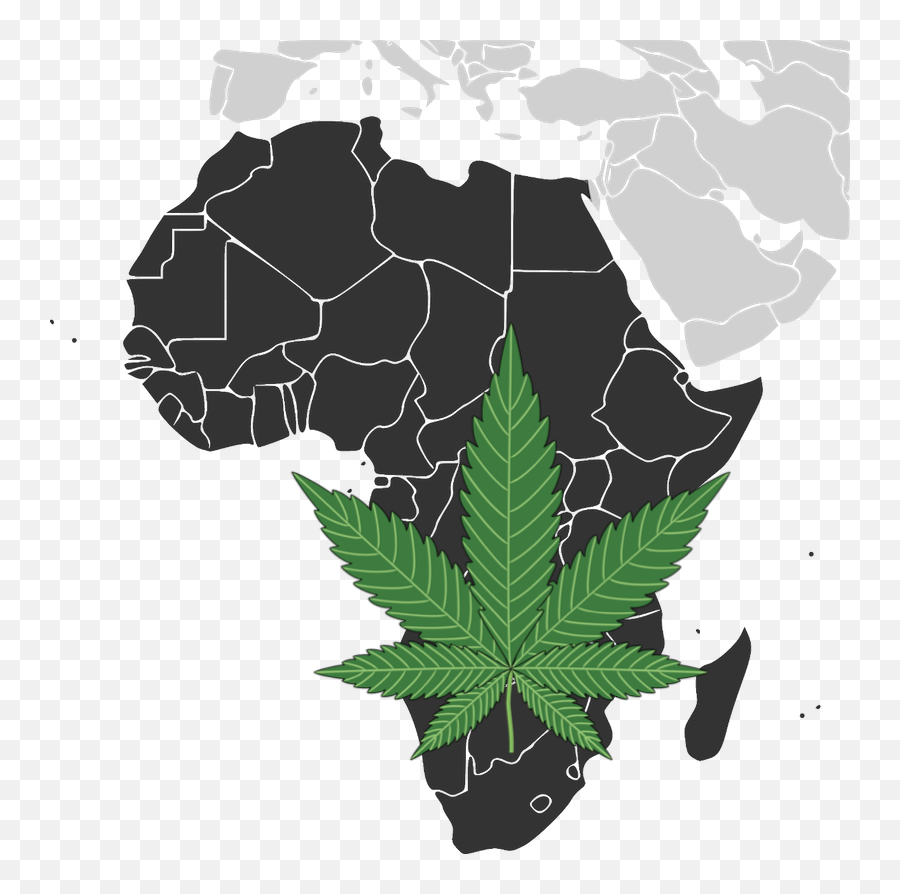 The South African Dagga Industry Could Be Worth R27 Billion - African Continent Png,Marijuana Leaf Transparent