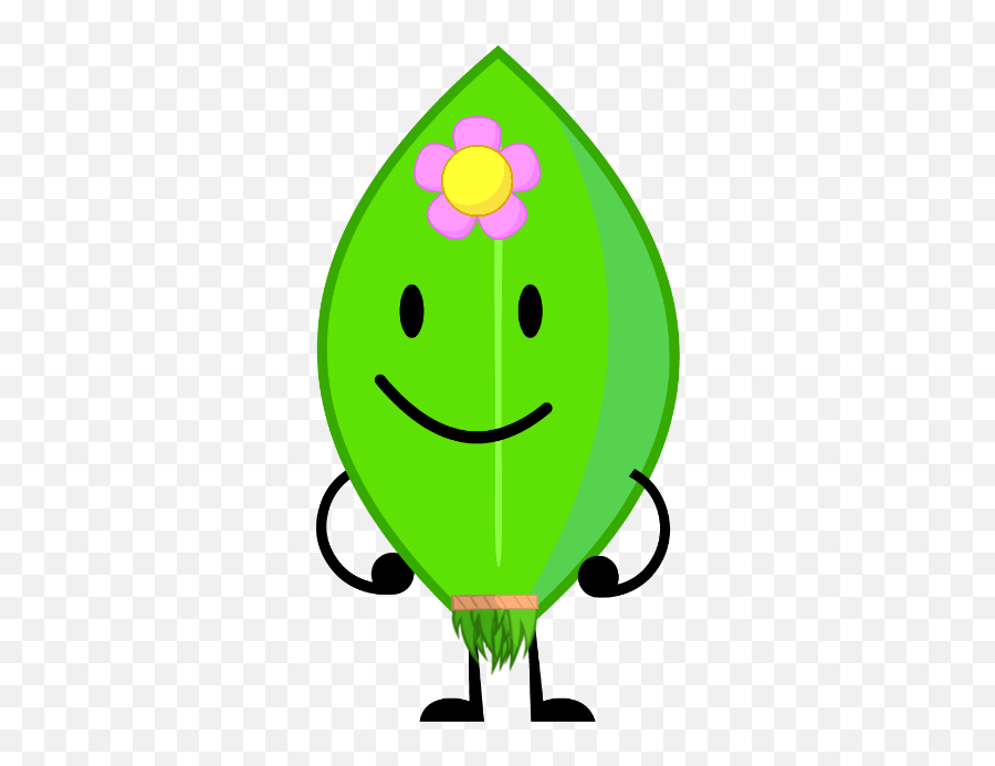 Download Hawaii Leafy - Bfdi Leafy Hawaii Png,Bfdi Icon