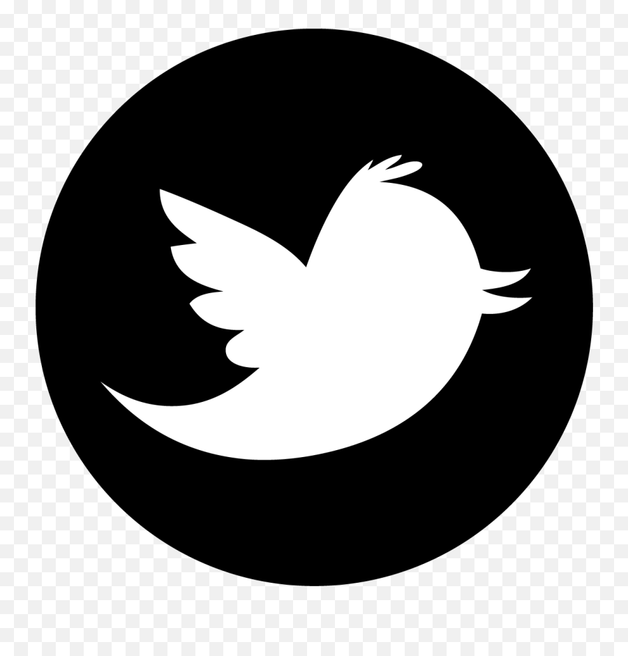 Logo Twitter Png Noir - Twitter Logo Vector Circle,Twitter Icon Size Circle