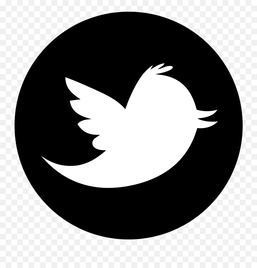 Logo Twitter Png Noir Twitter Logo Vector Circle Twitter Icon Size Circle Free Transparent Png Images Pngaaa Com