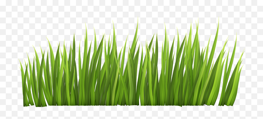 Grass Clipart Transparent Png - Transparent Transparent Background Grass,Grass Clipart Transparent