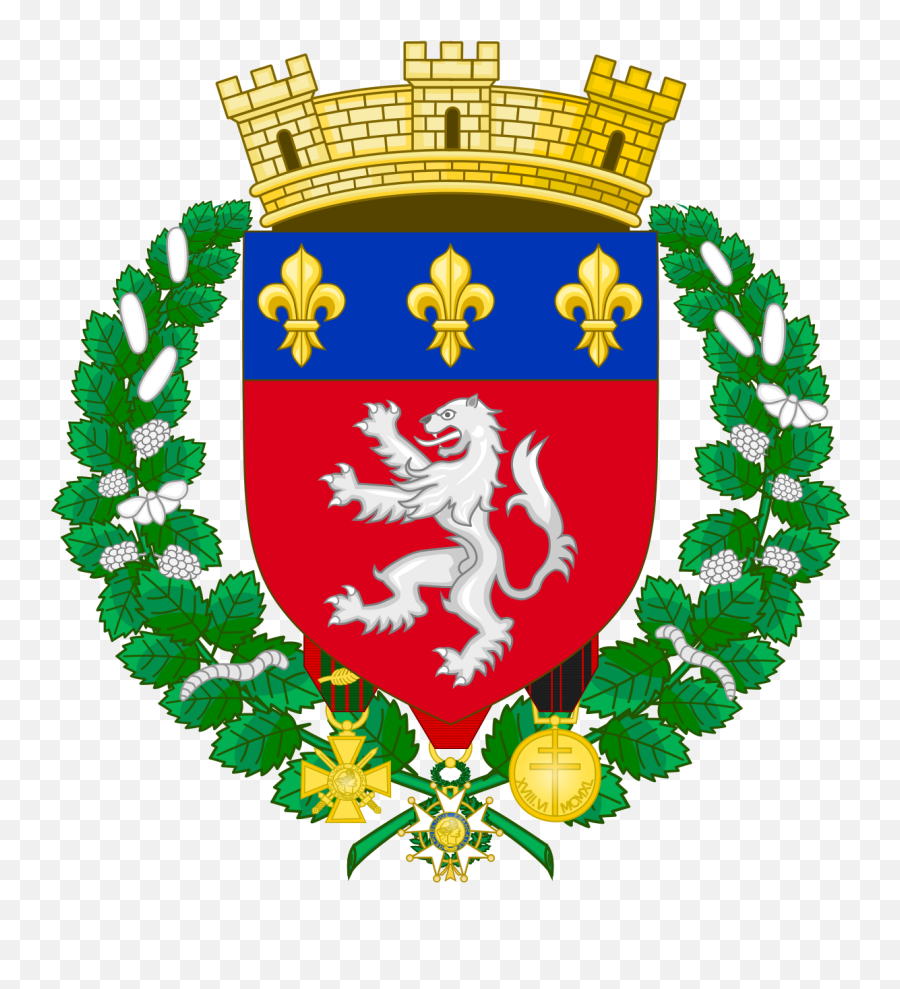 Coat Of Arms Lyon - Coat Of Arms Png,Lyon Icon