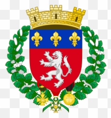 Coat Of Arms Lyon - Coat Of Arms Png,Lyon Icon