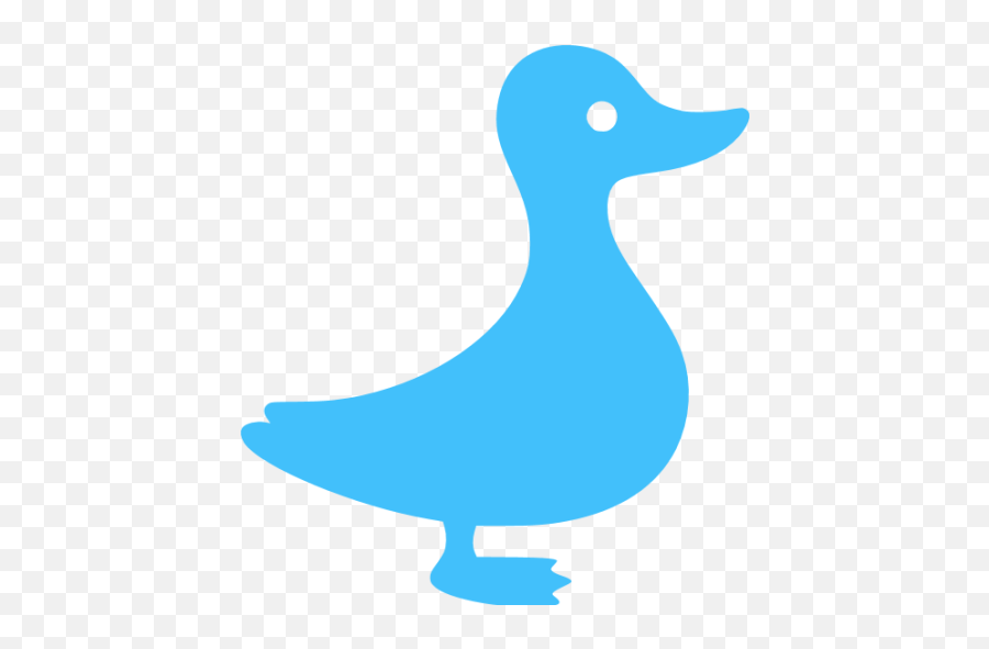 Caribbean Blue Duck Icon - Free Caribbean Blue Animal Icons Blue Duck Icon Png,Duck Icon Png