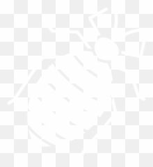 Residential U0026 Commercial Pest Control Sanitizing - Bedbugs Green Icon Png