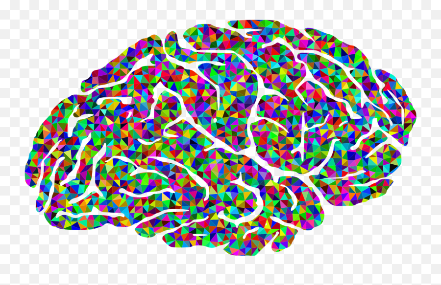 How The Human Brain Works During Simultaneous Interpretation - Psychology Brain Clip Art Png,Human Brain Png