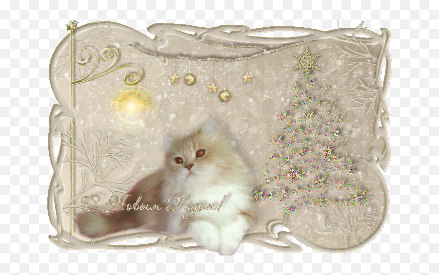 Pin By Marcia Goncalves - Decorative Png,Christmas Cat Icon