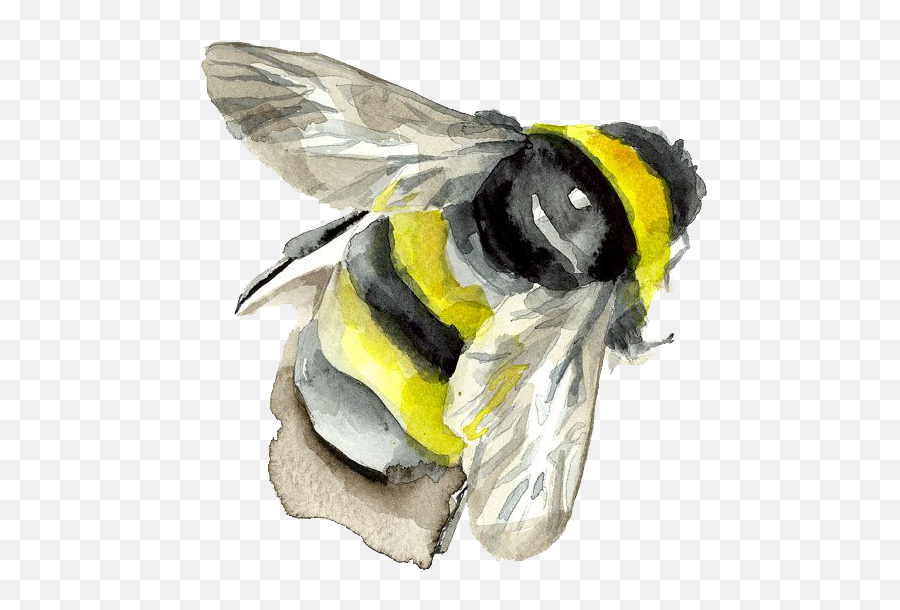 Download Watercolor Painting Insect Bumblebee Bee Png Free - Bee Painting Png,Bumblebee Png