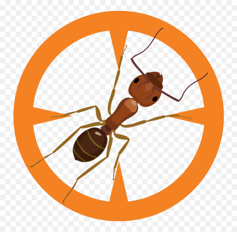 Ants - Clark Exterminatingclark Exterminating Png,Disturbed Icon